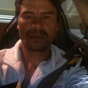 Meet your Posher, Franklin